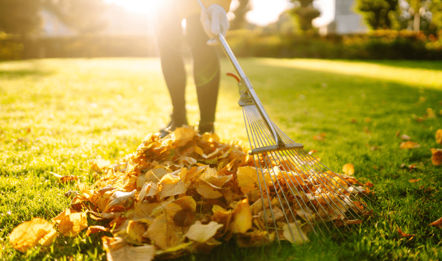 Fall Leaf Cleanup
