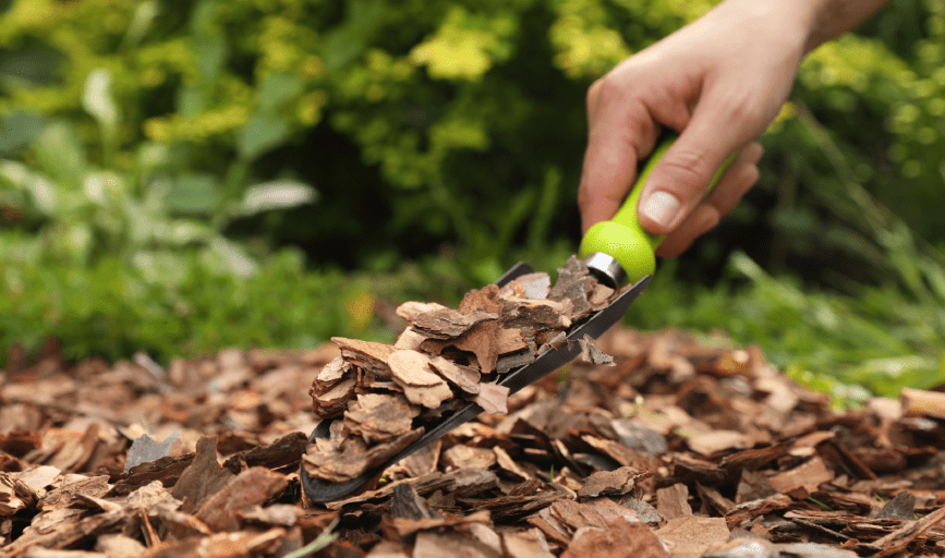 Mulching